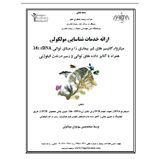 محصول شناسایی مولکولی باکتری ها از شرکت مهندسی زیست فناوران نجم