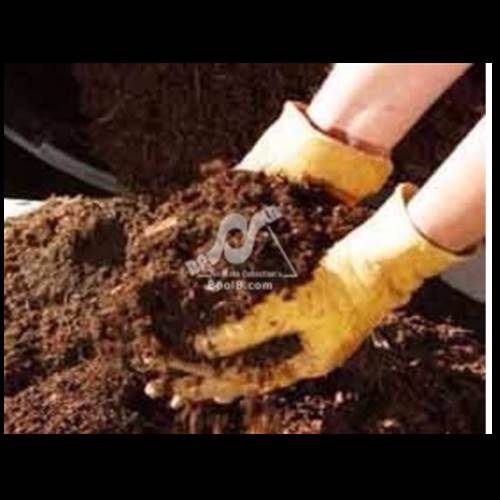 محصول کود بیولوژیک نیتروکسین از شرکت فن آوری زیستی مهرآسیا