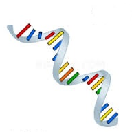 محصول کیت استخراج RNA از شرکت گروه تولیدی ژیوان زیست فناوری روژه