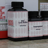 محصول intercalating gel stain از شرکت گروه تولیدی ژیوان زیست فناوری روژه