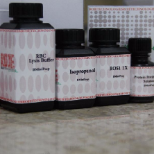 محصول کیت استخراج DNA از شرکت گروه تولیدی ژیوان زیست فناوری روژه