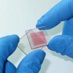 محصول لایه برداری (etch) و طرح دهی به FTO و ITO از شرکت توسعه فناوری شریف سولار