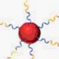محصول الیگونوکلئوتید (OD:5-7 PRIMER SYNTHESIS) از شرکت تهران کاوش کلون