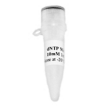 محصول dNTP Mixes, 0.5ml از شرکت تهران کاوش کلون