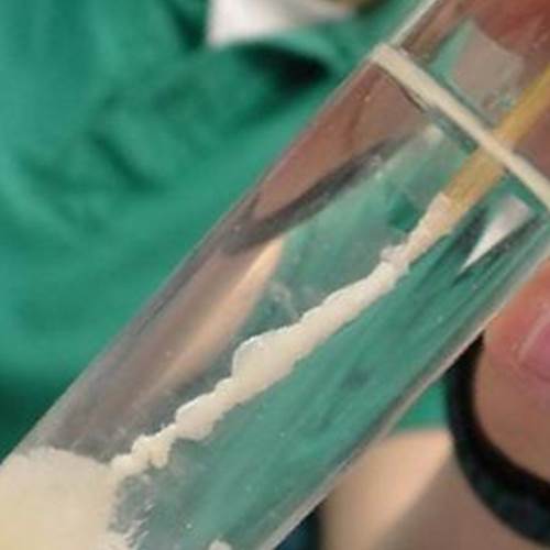 محصول محلول استخراج DNA از شرکت تهران کاوش کلون