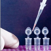 محصول کیت استخراج DNA & RNA از شرکت تهران کاوش کلون