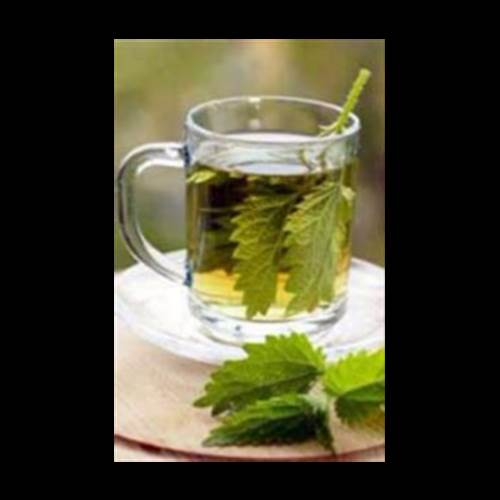 محصول دمنوش گزنه از شرکت نیاک
