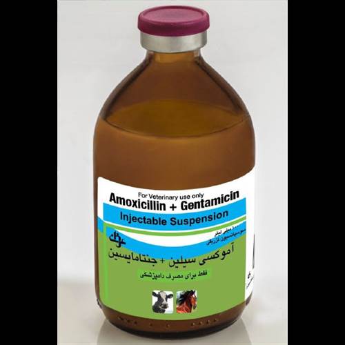 محصول آموکسی سیلین + جنتامایسین از شرکت داروسازی عرفان دارو