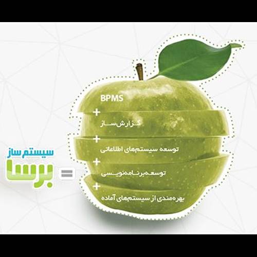 محصول سیستم ساز از شرکت برسا نوین رای